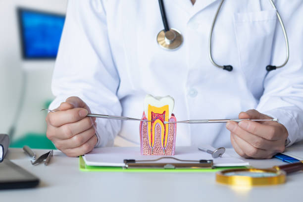 Best Weekend Emergency Dentist in Tyler, TX